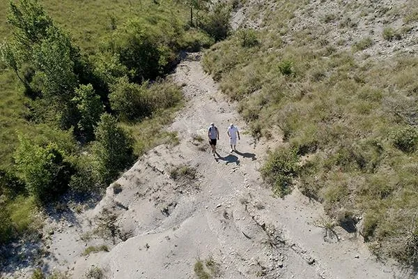Flower Camping Saint Amand