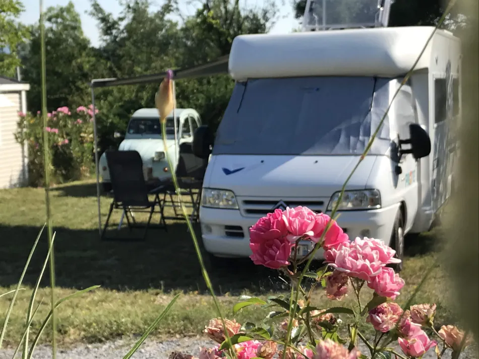 Flower Camping Saint Amand