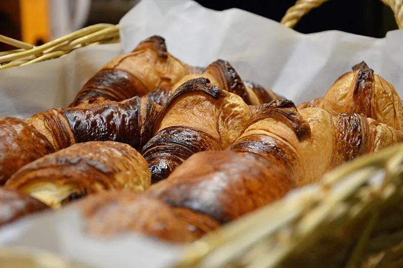 Flower Camping Saint Amand