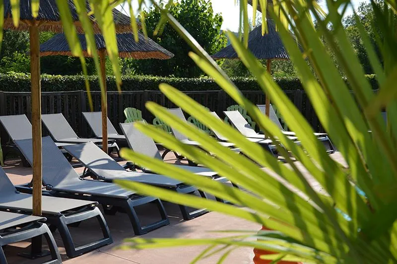 Flower Camping Saint Amand