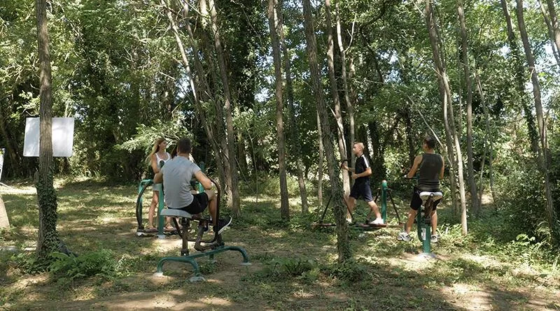 Flower Camping Saint Amand