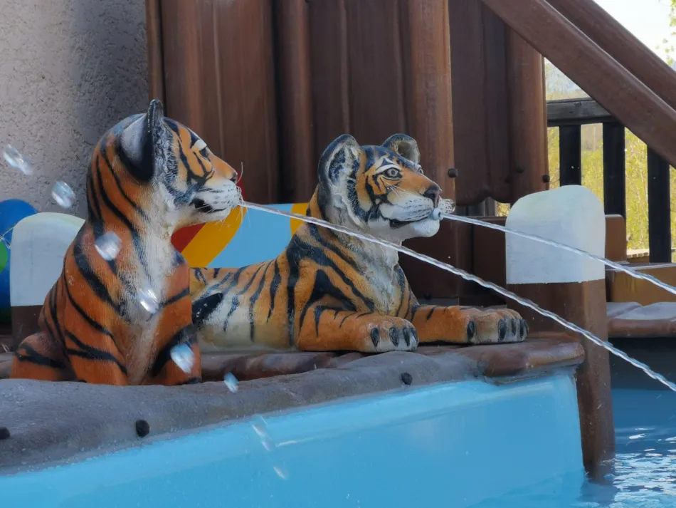 Flower Camping Saint Amand