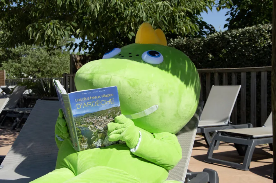 Flower Camping Saint Amand