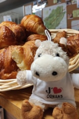 Foto #13 van Camping le Chanet