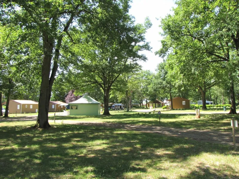 Forfait Confort (1 Tente, Caravane Ou Camping-Car / 1 Voiture / Électricité 6A)