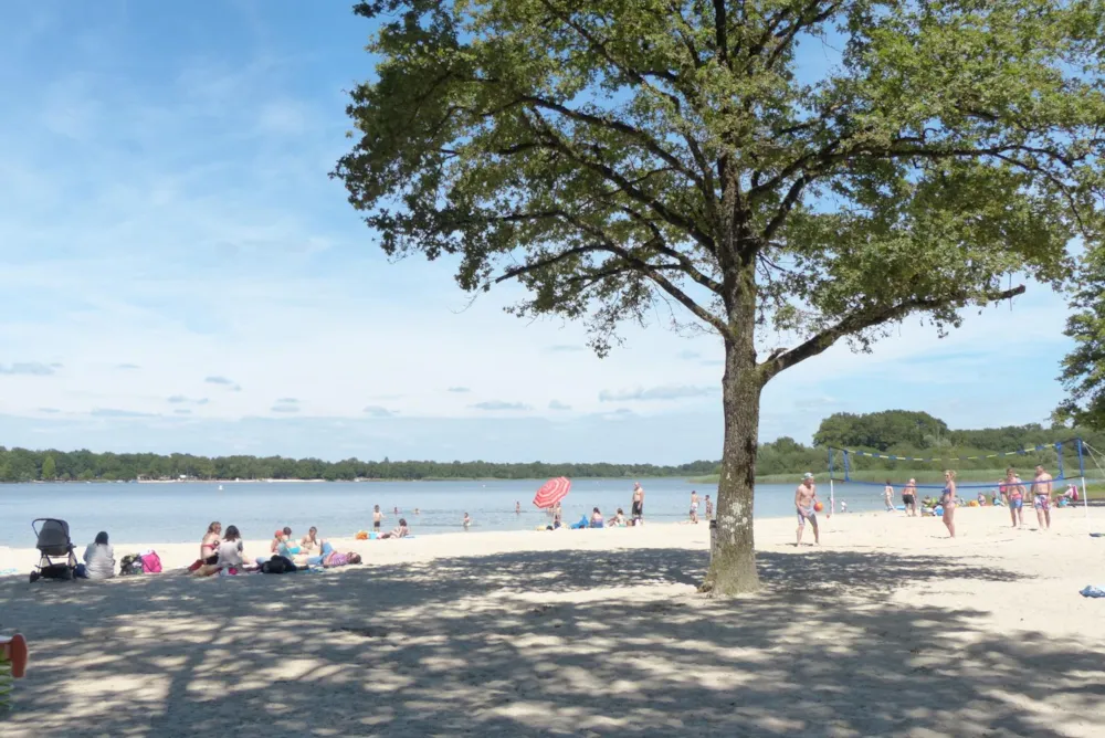 Camping des Etangs