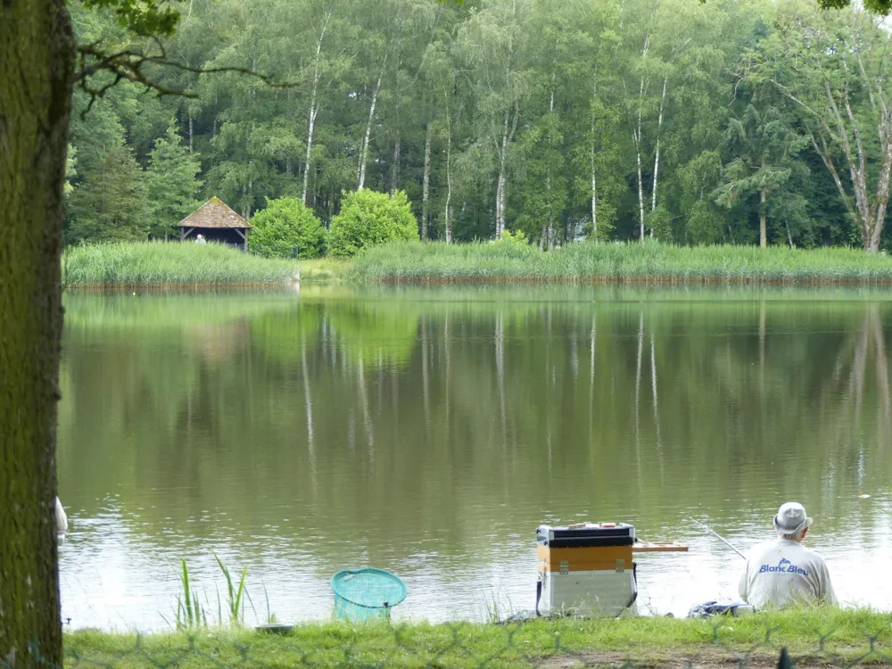 Camping des Etangs