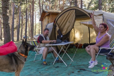 Nature Pitch - Tent without grass — 1