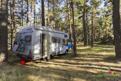 Natural Plot for Motorhome — 1