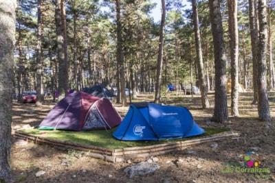 Natural plot for tent, WITH Artificial Grass — 2