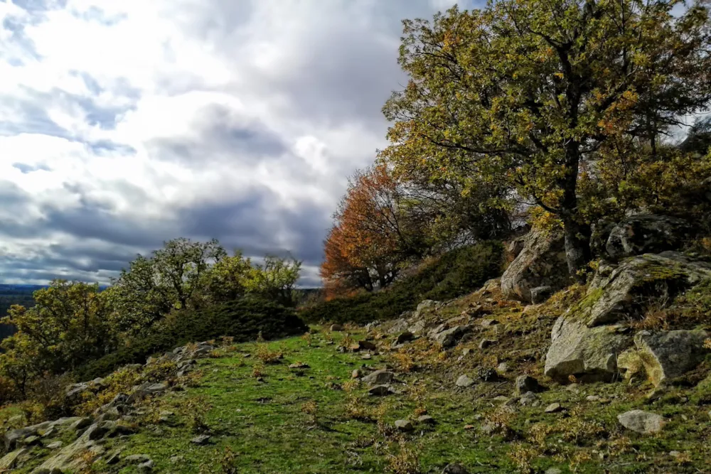 Camping Sierra de Albarracín "Las Corralizas 1.727m"