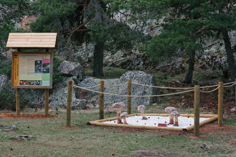 Camping Sierra de Albarracín "Las Corralizas 1.727m"