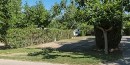 Stellplatz - Stellplatz Mit Abwasser ( 100 M² ) - Camping Amfora