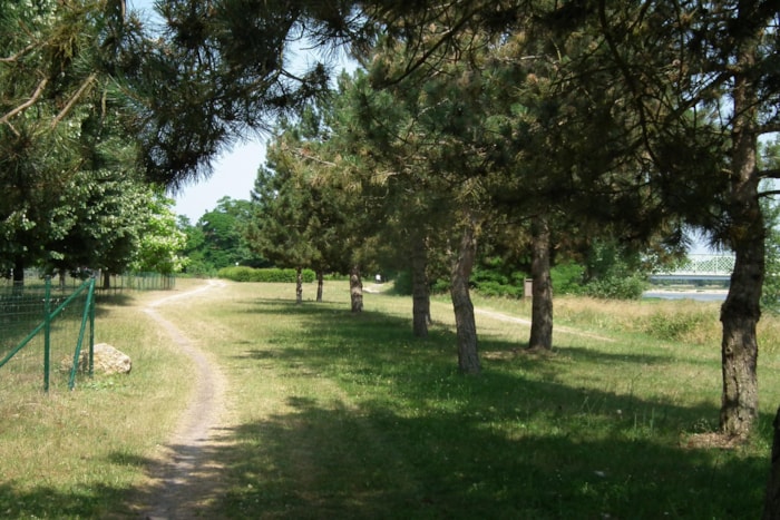 Emplacement Bord De Loire (Tente 2.5M*2.5M Maxi - Van 2.10M Max)