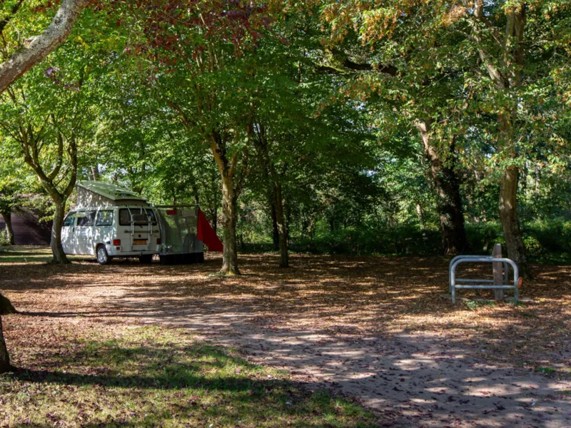 Emplacement Bord De Loire (Tente 2.5M*2.5M Maxi - Van 2.10M Max)