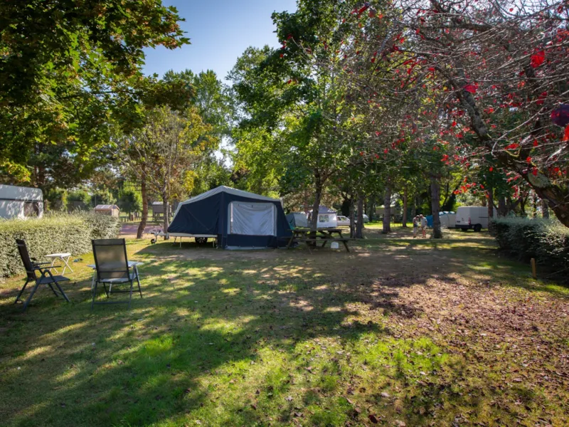 Emplacement Bord De Loire (Tente 2.5M*2.5M Maxi - Van 2.10M Max)