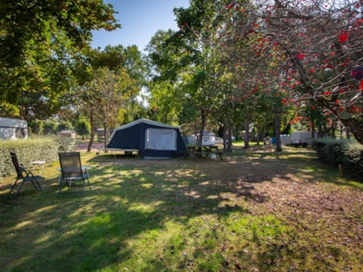 Camping pitch for tent 2.5m * 2.5 m maxi - van 2.10m maxi - on the edge of the Loire Valley -