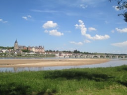 Les Roulottes Des Bords De Loire - image n°11 - Roulottes