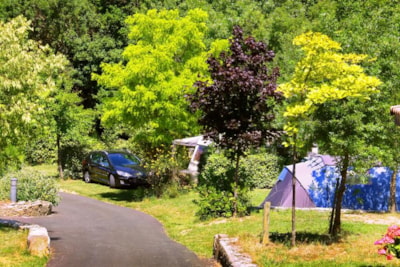 Package: Pitch + car + tent or caravan + electricity 10A