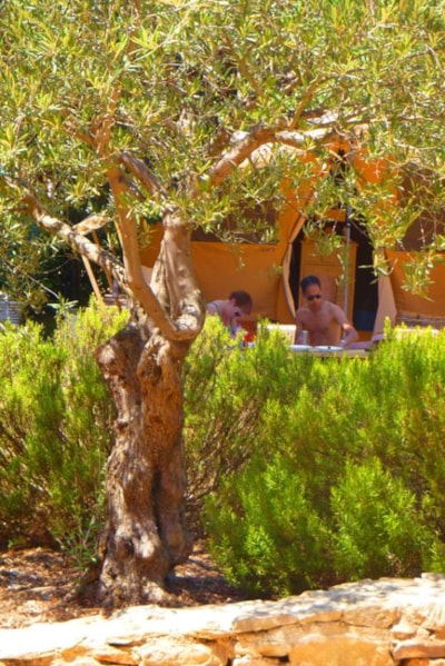 Package: Pitch + car + tent or caravan + electricity 10A