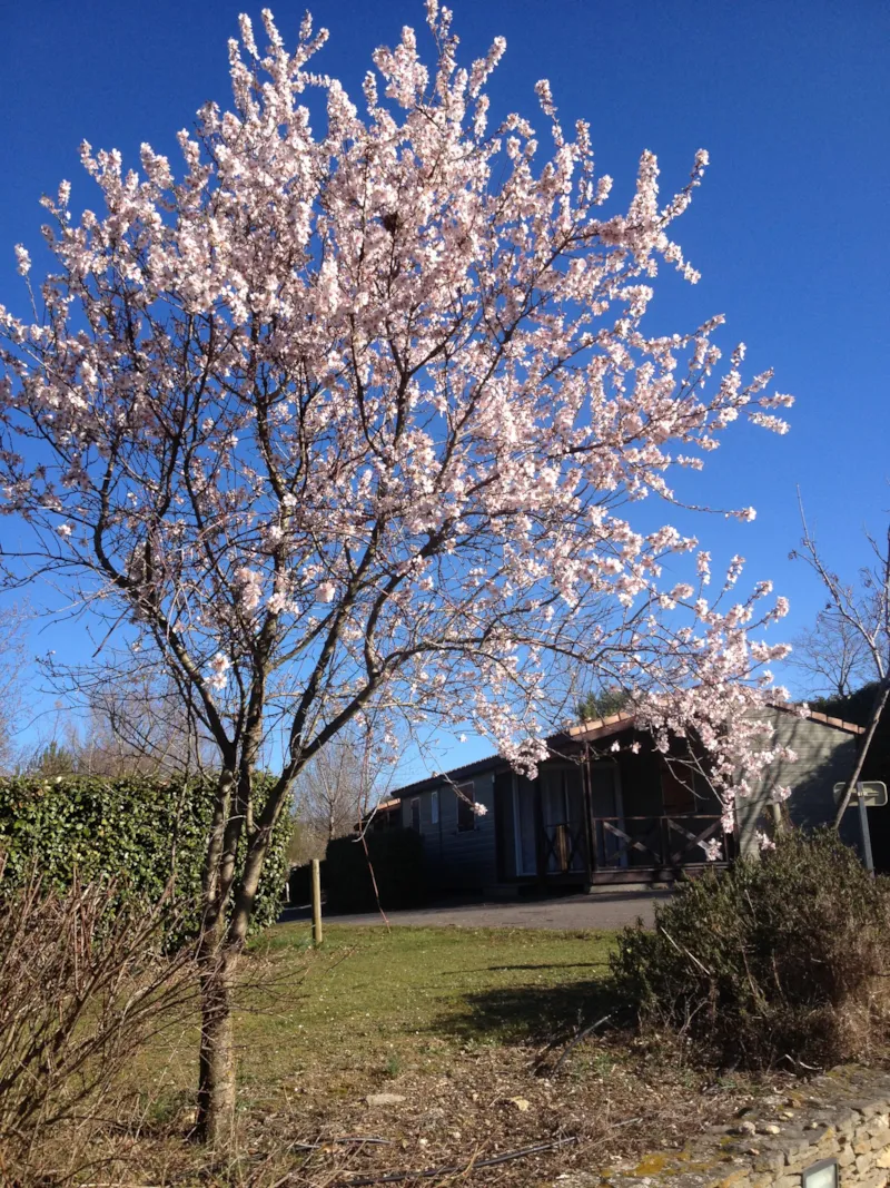 Emplacement Grand Confort 100M² + Élect 10A