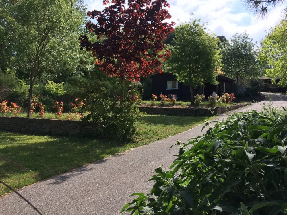 Emplacement - Emplacement Confort 80 À 100M² + Élect 10A  (Prévoir Dérouleur De 25M) - Le Moulin de Sainte Anne