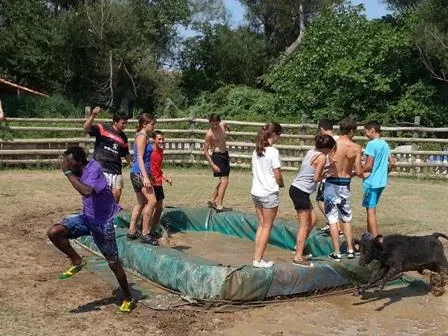 Capfun - Camping Les Mimosas