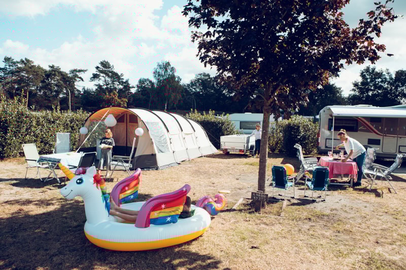 Komfortplatz L Kinderfeld - ca. 120m2 haustierfrei - 16A
