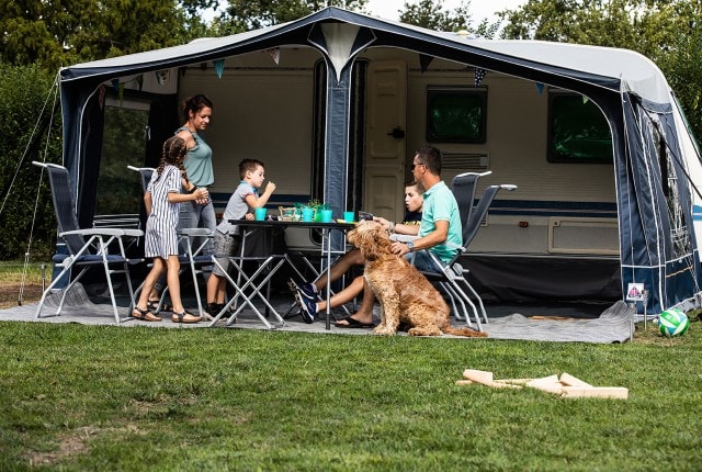Confort Emplacement avec chien (environ 100m² 10amp)