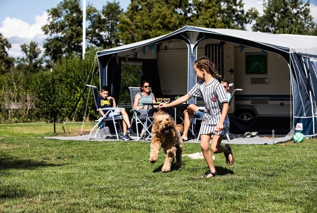 Comfort pitch M - approximately 120m2 with dog - electricity 10A