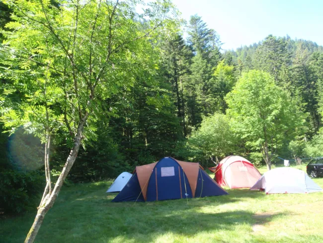 Camping La Vologne - image n°4 - Camping Direct