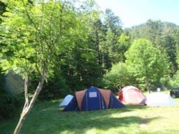 Camping La Vologne - image n°4 - 