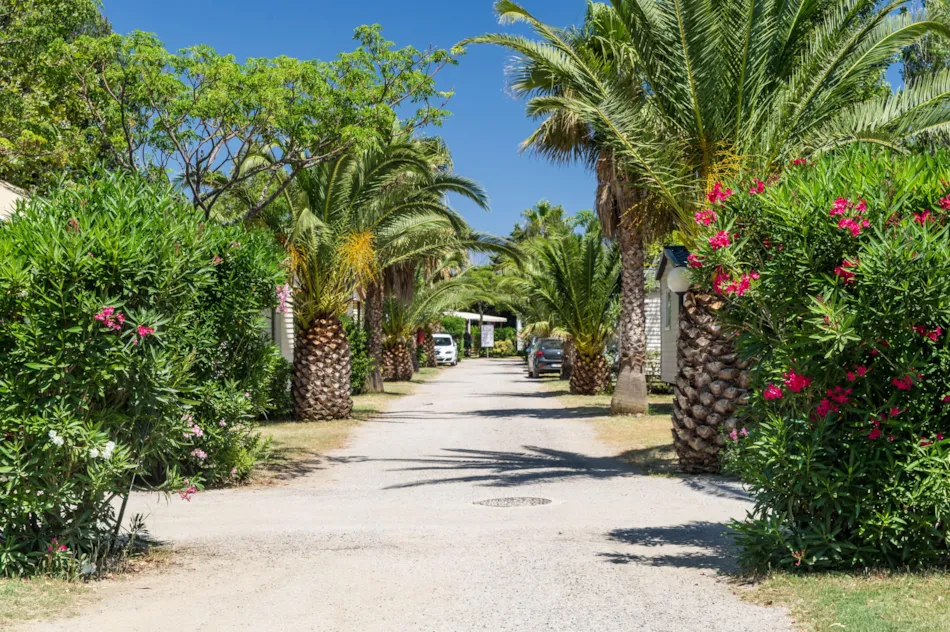 Camping l’Oasis & California