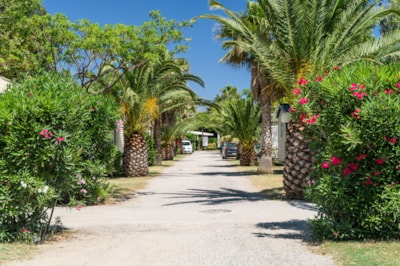 Camping l’Oasis & California