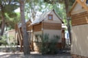 Cabane Nid Cabane Nid