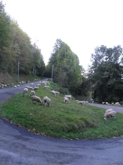 Camping Le Haut Salat