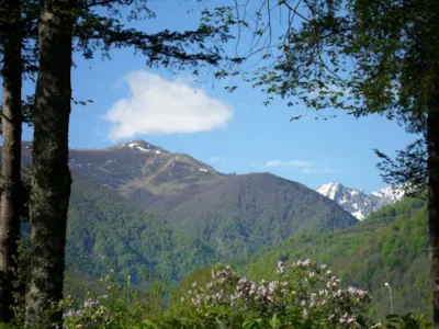 Camping Le Haut Salat