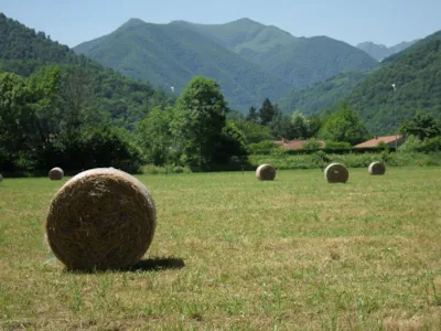 Camping Le Haut Salat