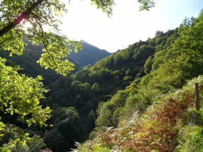 Camping Le Haut Salat