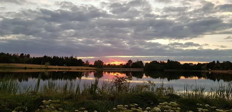 Chalet Pour Pmr Accompagnée