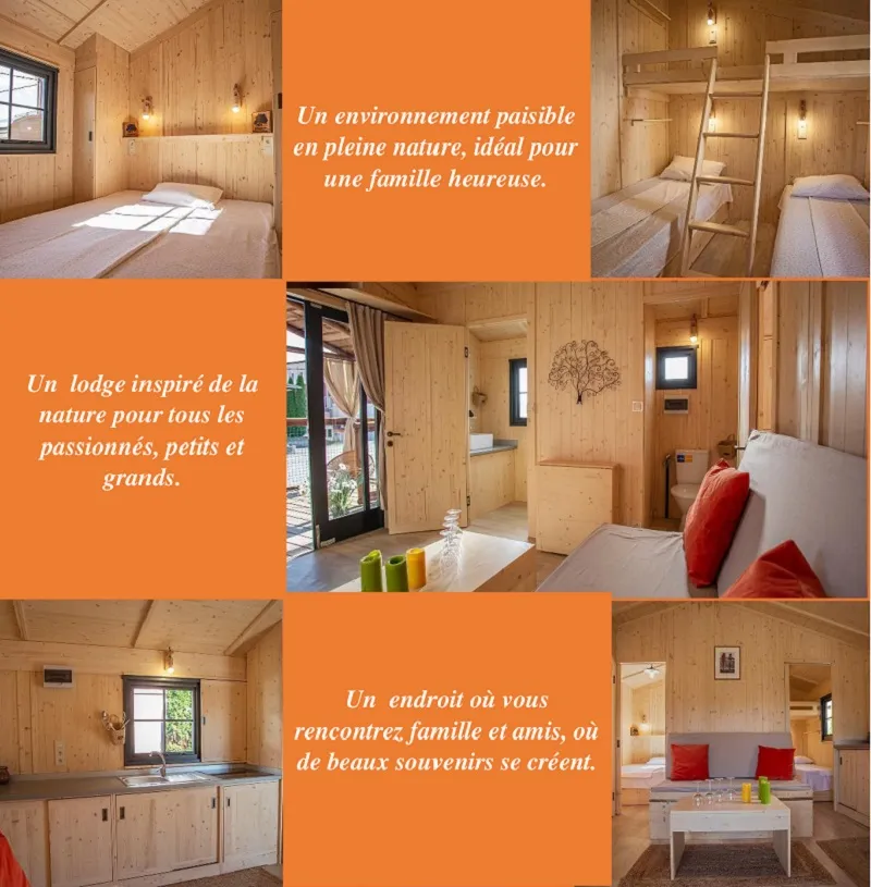 Cabane Lodge Cape Town