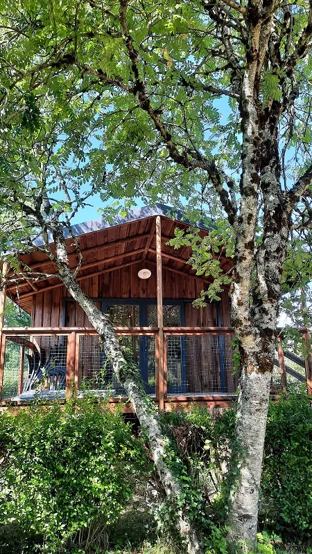 Cabane Lodge Cape Town