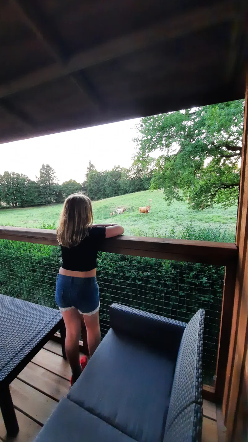 Cabane Lodge Bora Bora