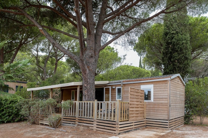 Cottage 3 chambres ***