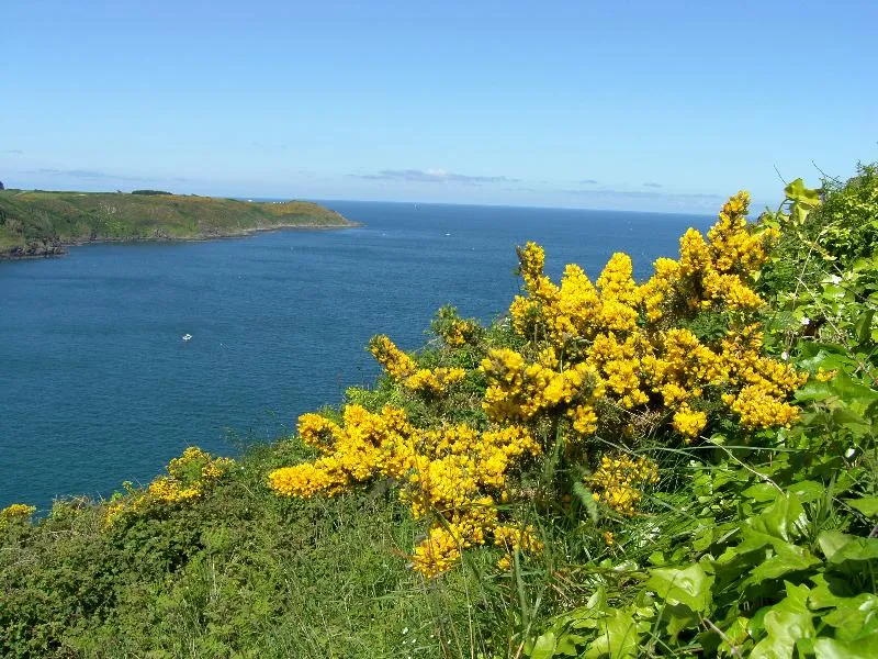 Camping Le Varquez-sur-Mer