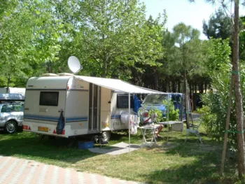Stellplatz - Stellplatz 'A' Zelt , Wohnwagen Oder Wohnmobil +  Strom - Camping Scarpiland