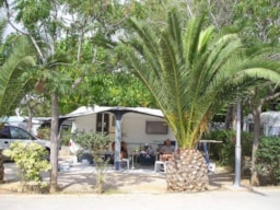 Parcela - Parcela Oferta + 55 Años (Coche + 1 Caravana/Tienda/Camping-Car + Electricidad + Perro) - Camping Vilanova Park