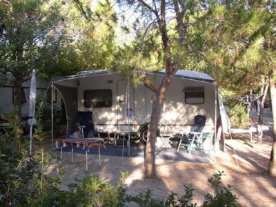 Pitch Offer +55 years old (1 car + 1 caravan/tent/motorhome + electricity + dog) — 5