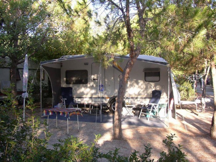 Emplacement Offre + 55 Ans (Voiture + 1 Caravane/Tente/Camping-Car + Électricité + Chien)