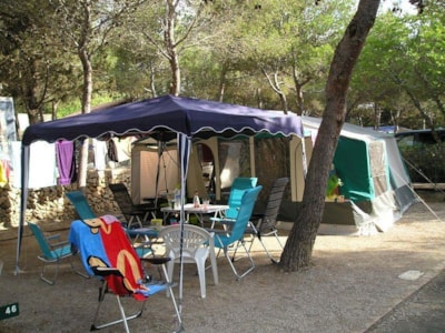 Pitch Offer +55 years old (1 car + 1 caravan/tent/motorhome + electricity + dog) — 2